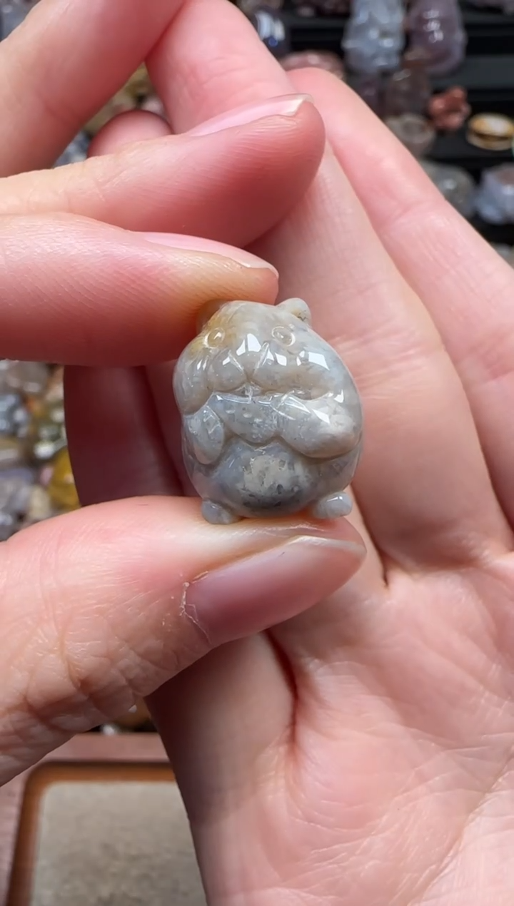 颈饰未镶嵌硅化珊瑚（珊瑚玉）732