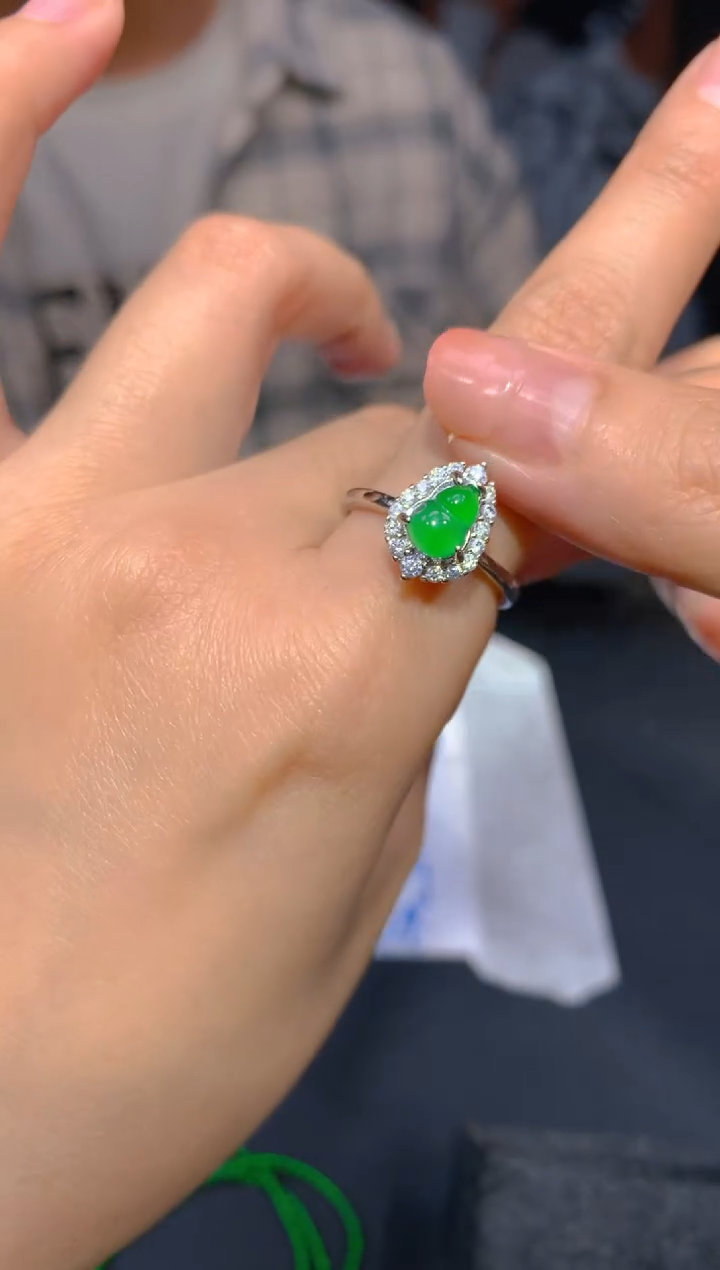 【闪购商品】定制翡翠未镶嵌10多样性发货（发其一）