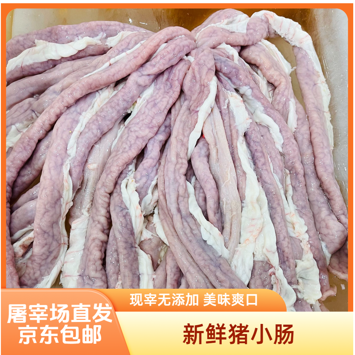 屠宰场现宰直发 新鲜猪小肠 冷链包邮 煲汤煮粥鲜美（只发江浙沪）