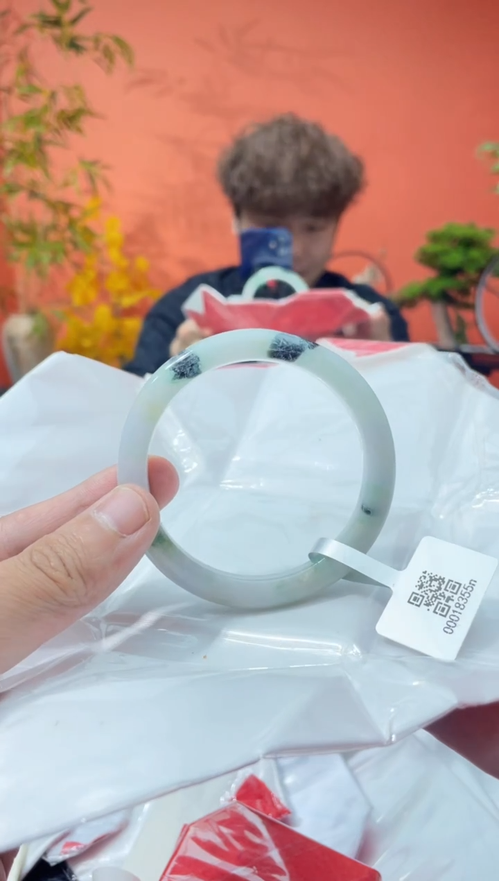 未镶嵌手镯翡翠3