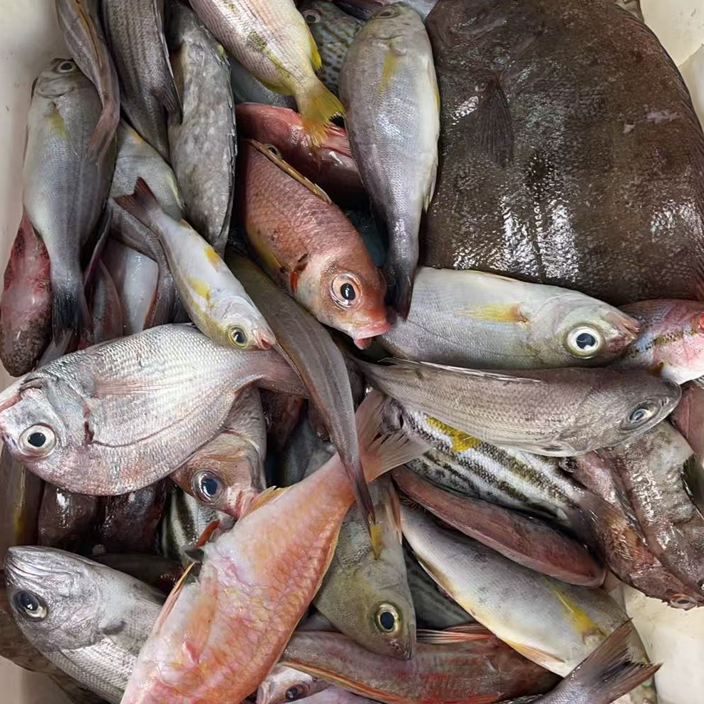 夏商水产精选 海杂鱼 到手3斤（煮酱油水超好吃！）