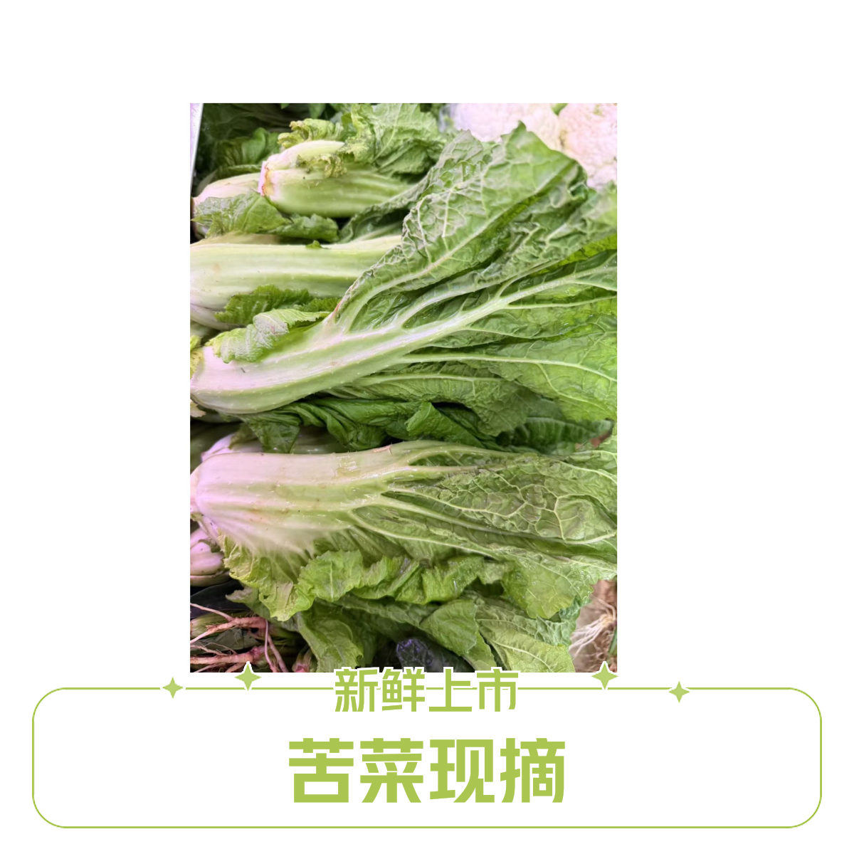 苦菜（大，小）【好东西】新鲜蔬菜