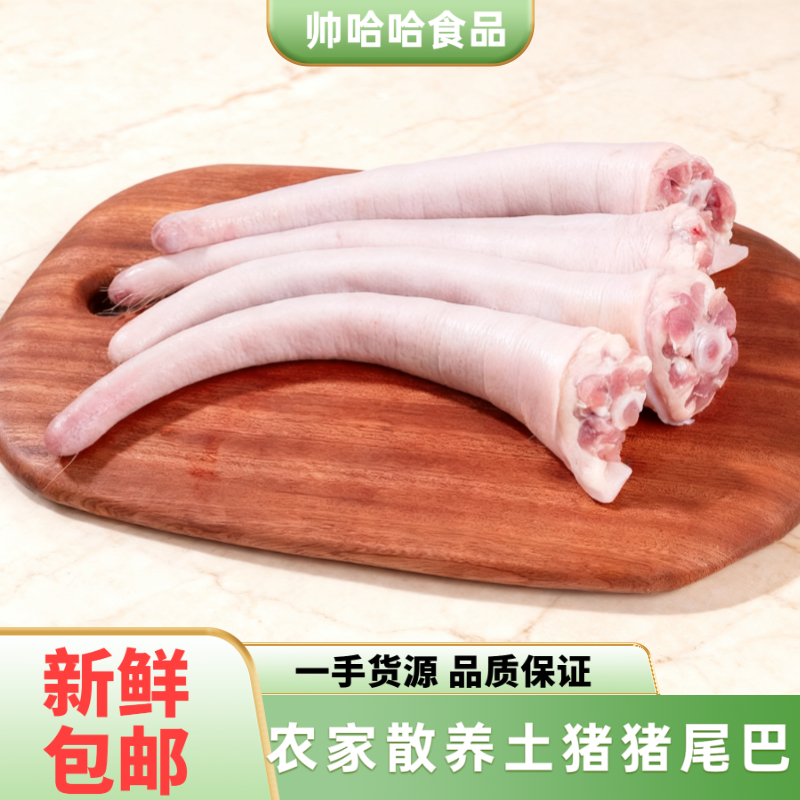 限量精品土猪新鲜长尾巴30cm左右猪尾巴生鲜可红烧煲汤食材