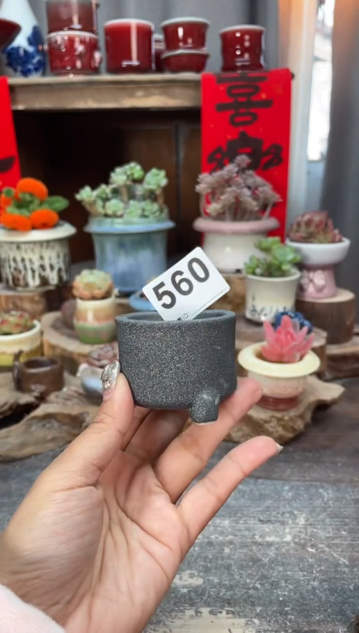 【闪购商品】摆件560知木小芳花盆