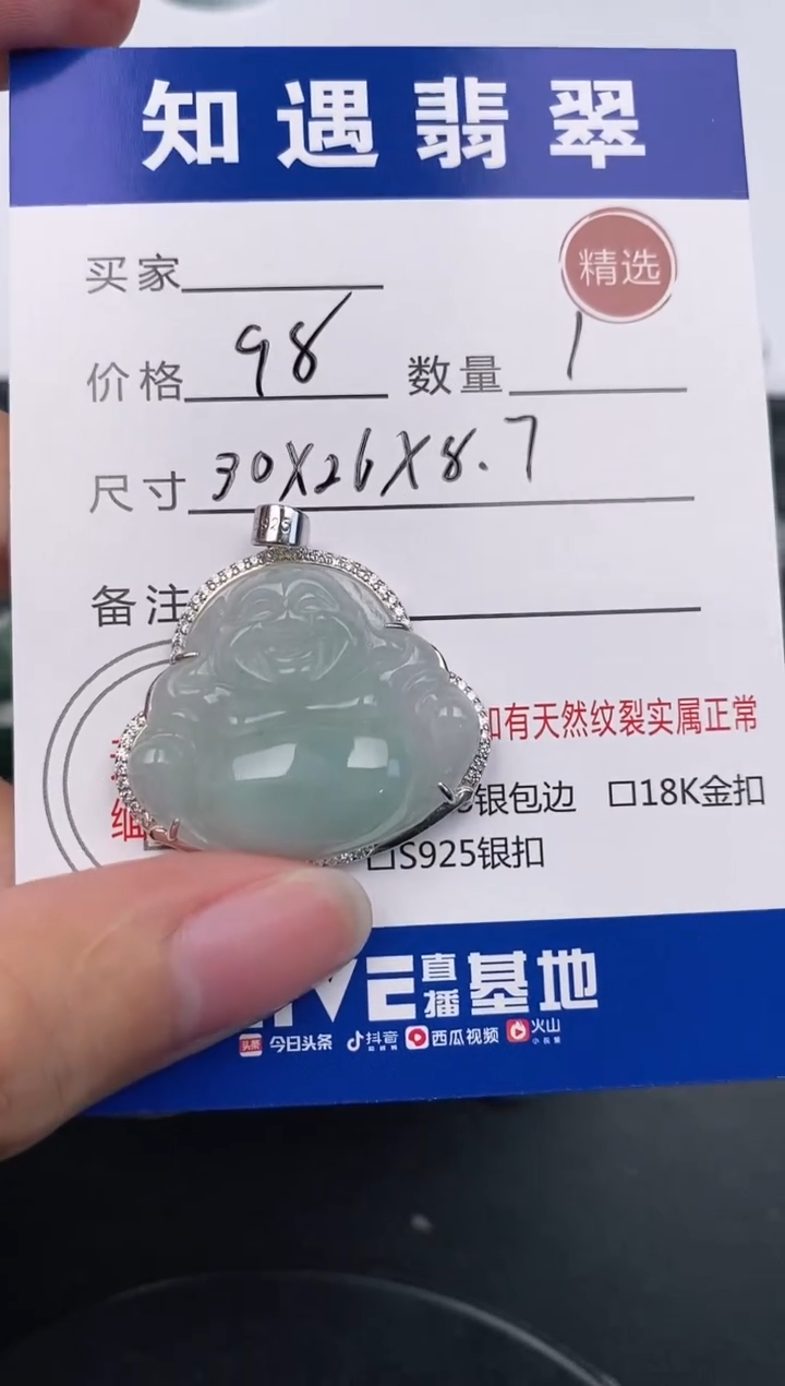 翡翠银S925镶嵌颈饰挂件