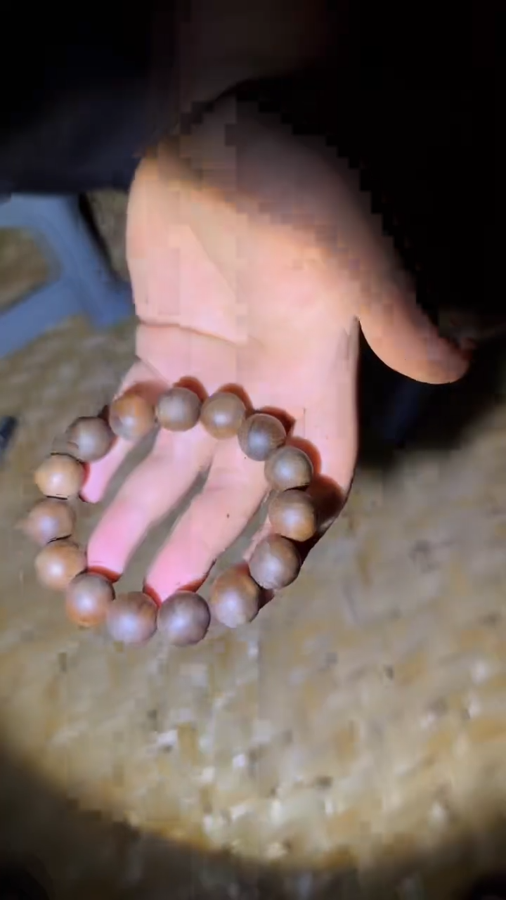 香榧木丽丽丽丽哈哈哈哈哈哈哈哈富森1.5