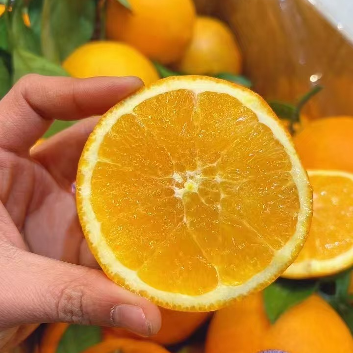 赣南脐橙约10斤/箱