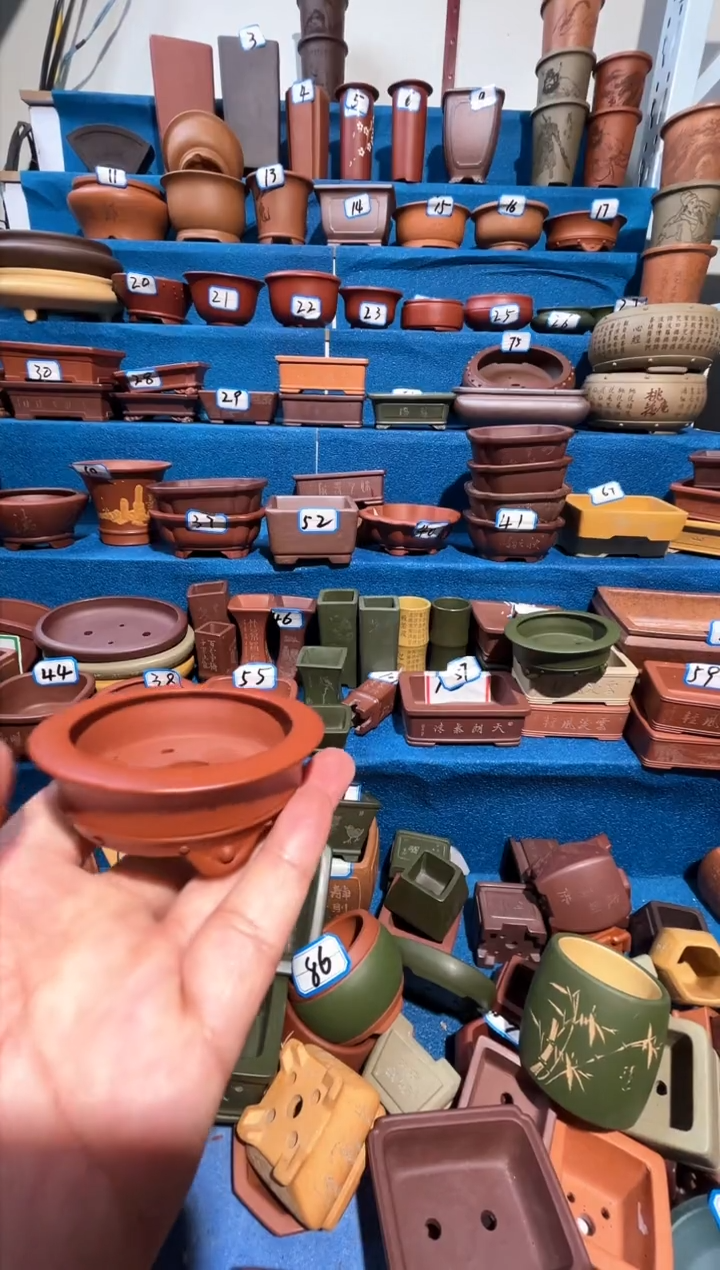 【闪购商品】紫砂紫砂花盆6*2