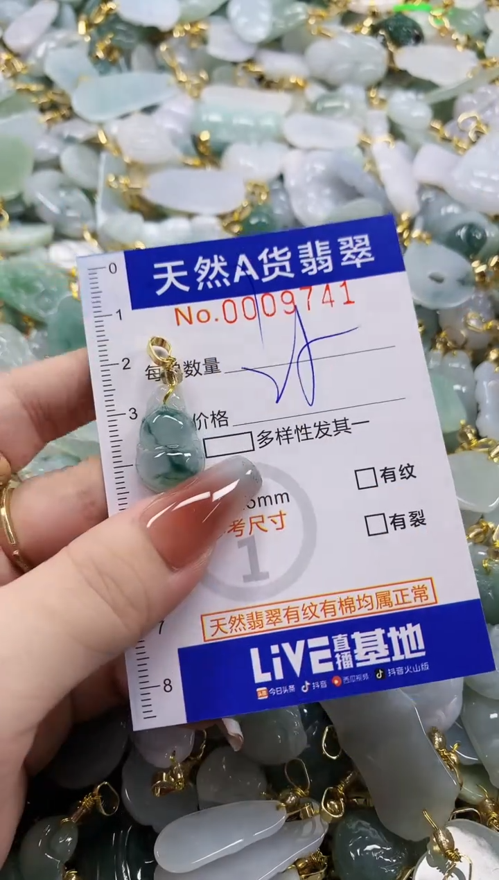 颈饰未镶嵌翡翠天然A货翡翠