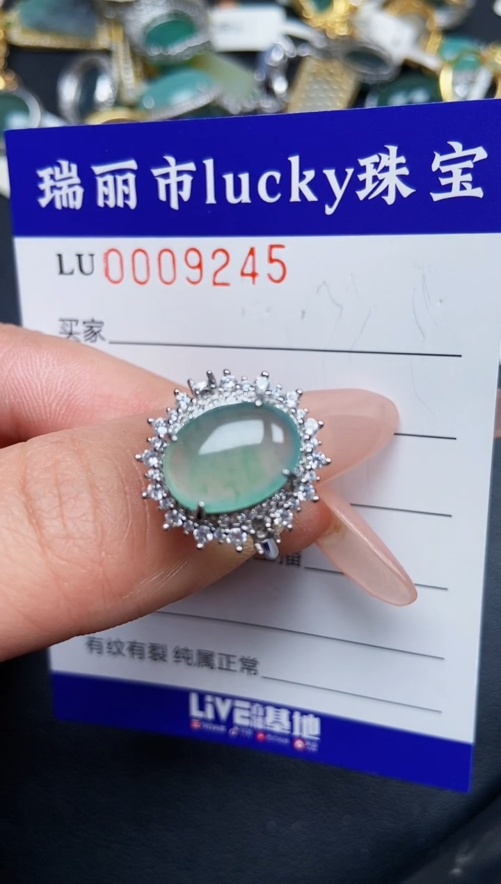 【闪购商品】翡翠颈饰银S925镶嵌9245