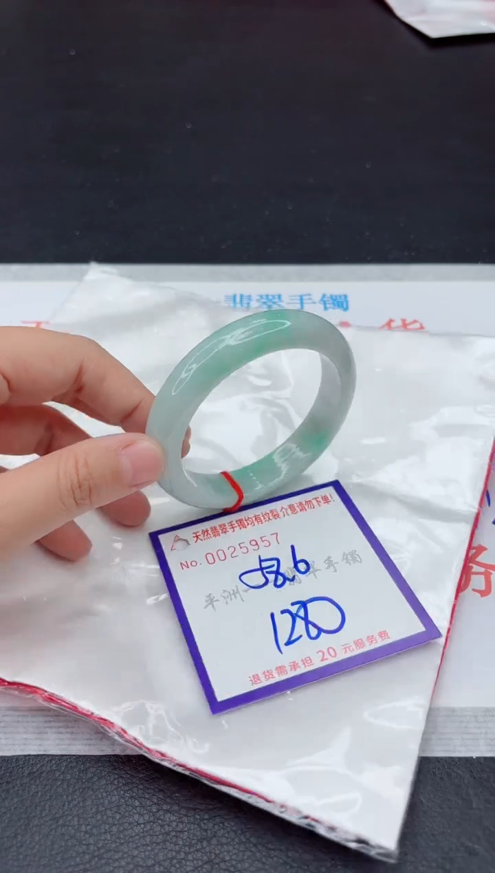 未镶嵌手镯翡翠11111