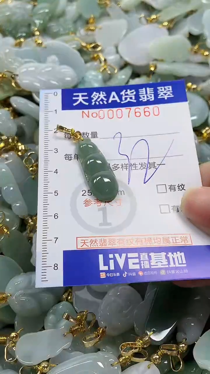 颈饰未镶嵌翡翠纯天然a货翡翠