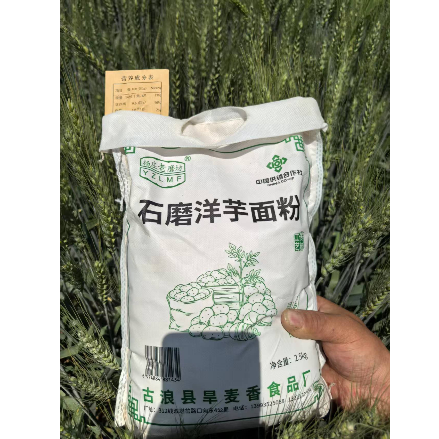 武威特产“山月面”粗粮杂粮洋芋面爽滑劲道配茄辣西绝搭传统老味道