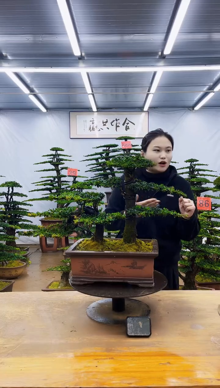 无花朵一物一拍，所见即所得