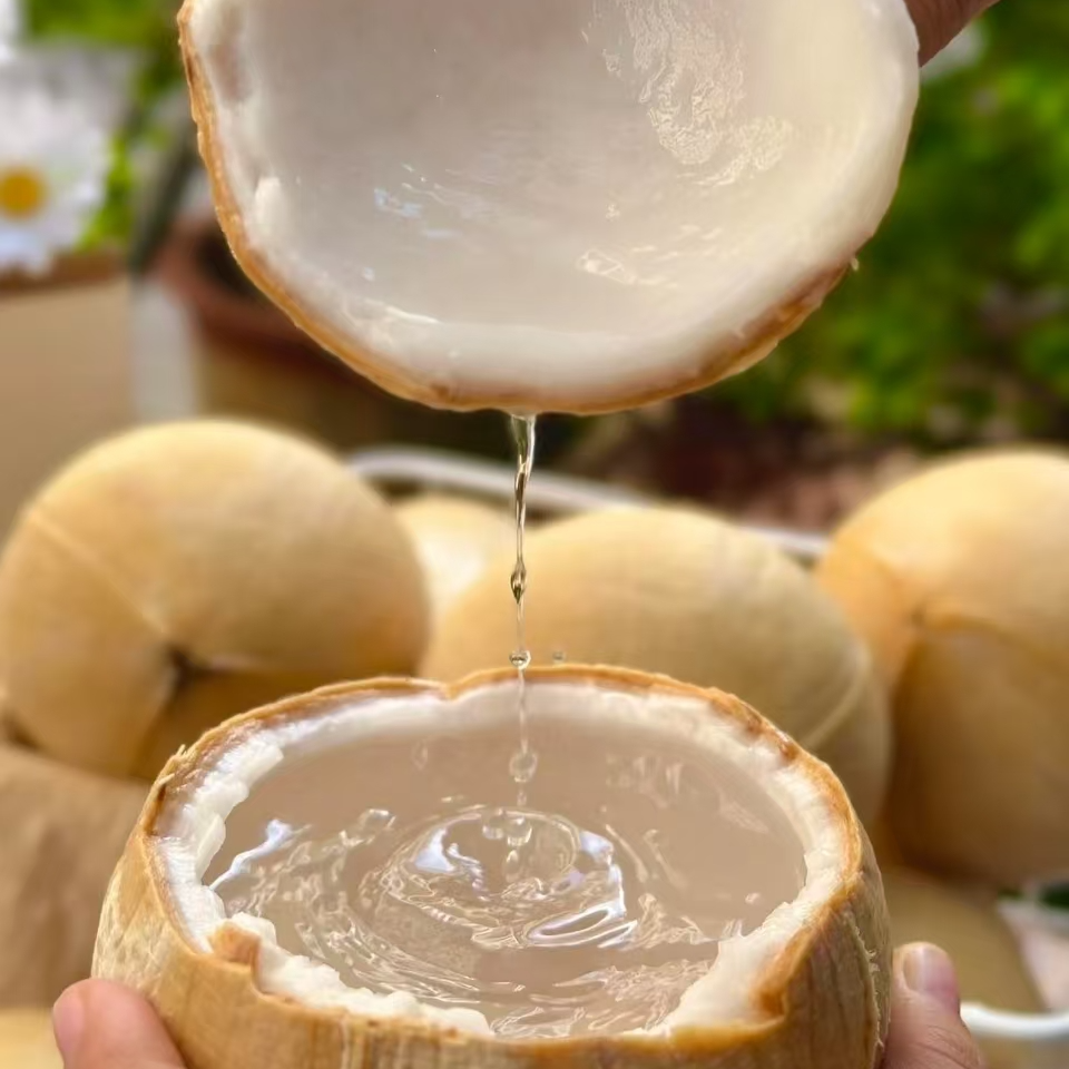 【泰国进口】椰皇牛奶椰青 400g+