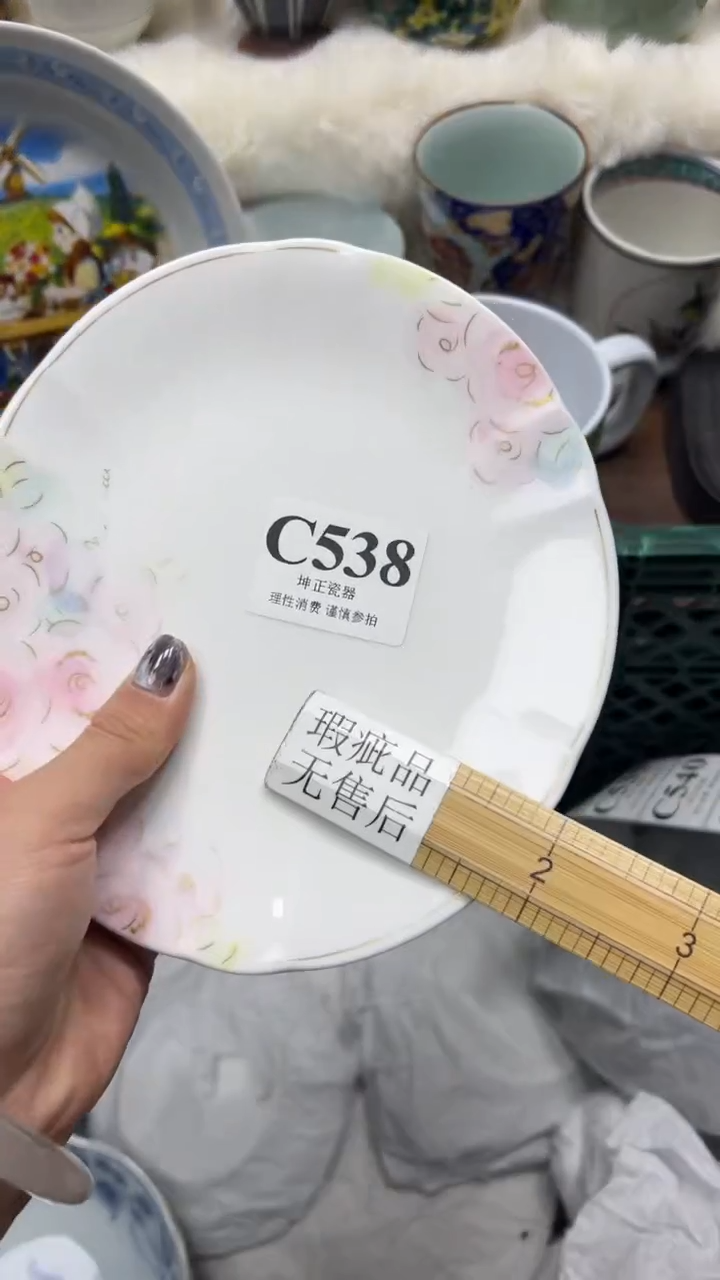 【闪购商品】瓷片          C538