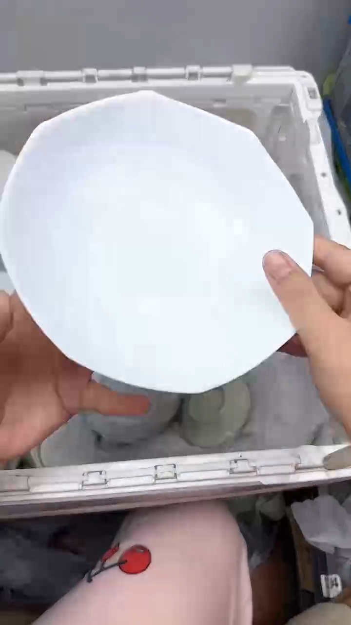 【闪购商品】291回流瓷器默认微瑕，18.8包邮