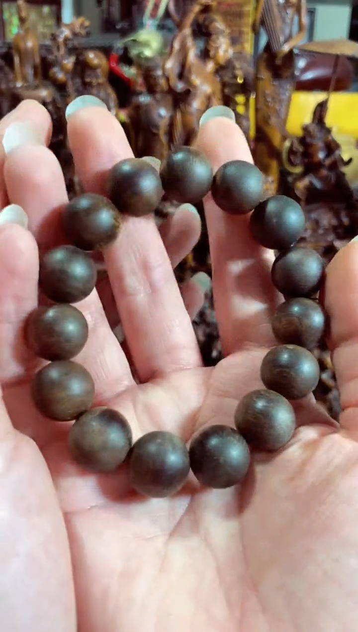 【闪购商品】木中之王漂亮的CXFSHT1.4单圈