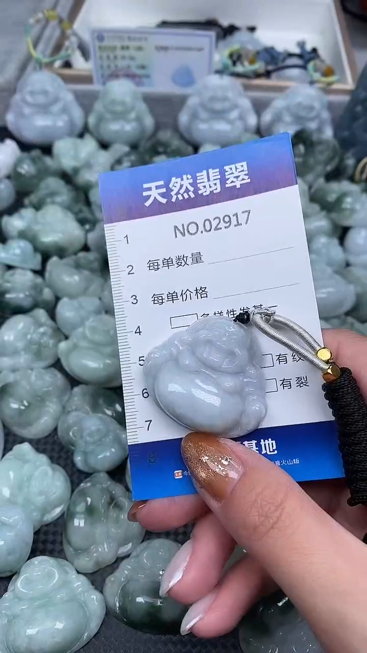 颈饰未镶嵌翡翠纯天然A货翡翠2917