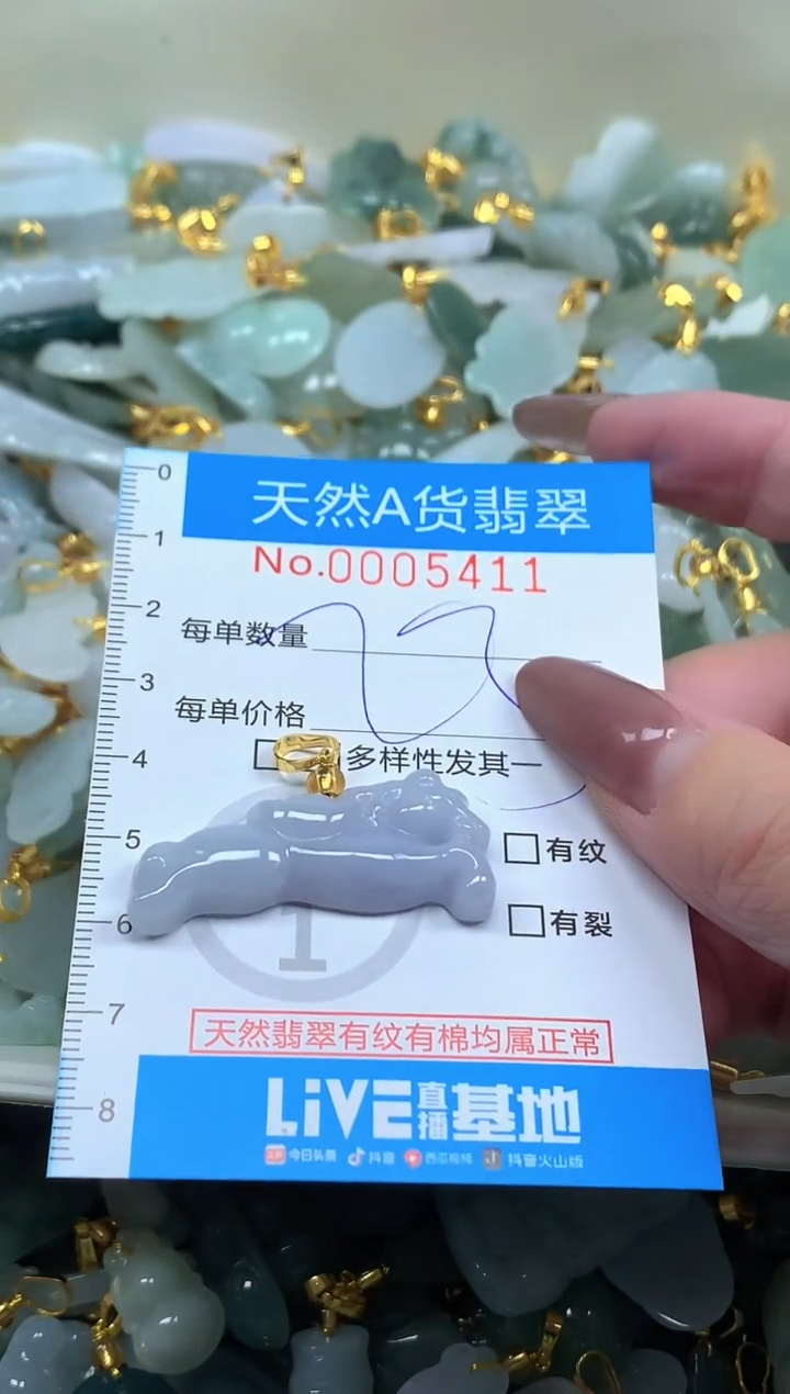 颈饰未镶嵌翡翠净货挂件-5411