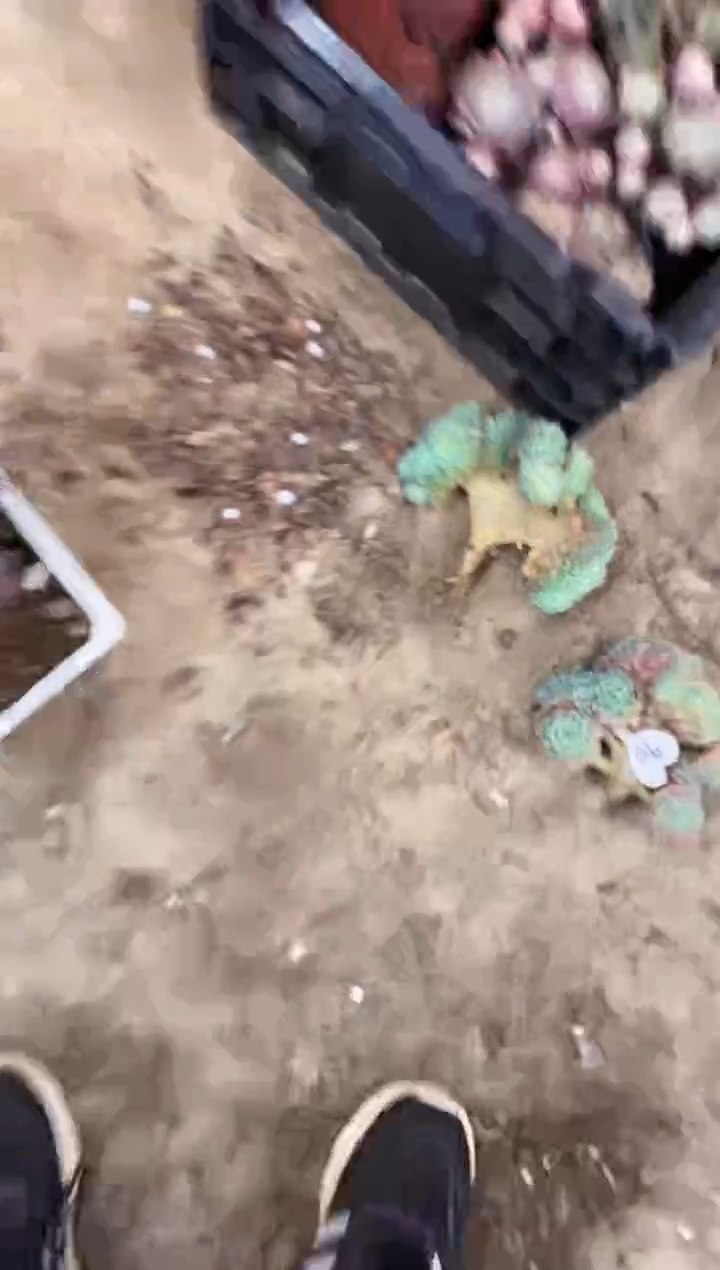 好**来        80号￥35