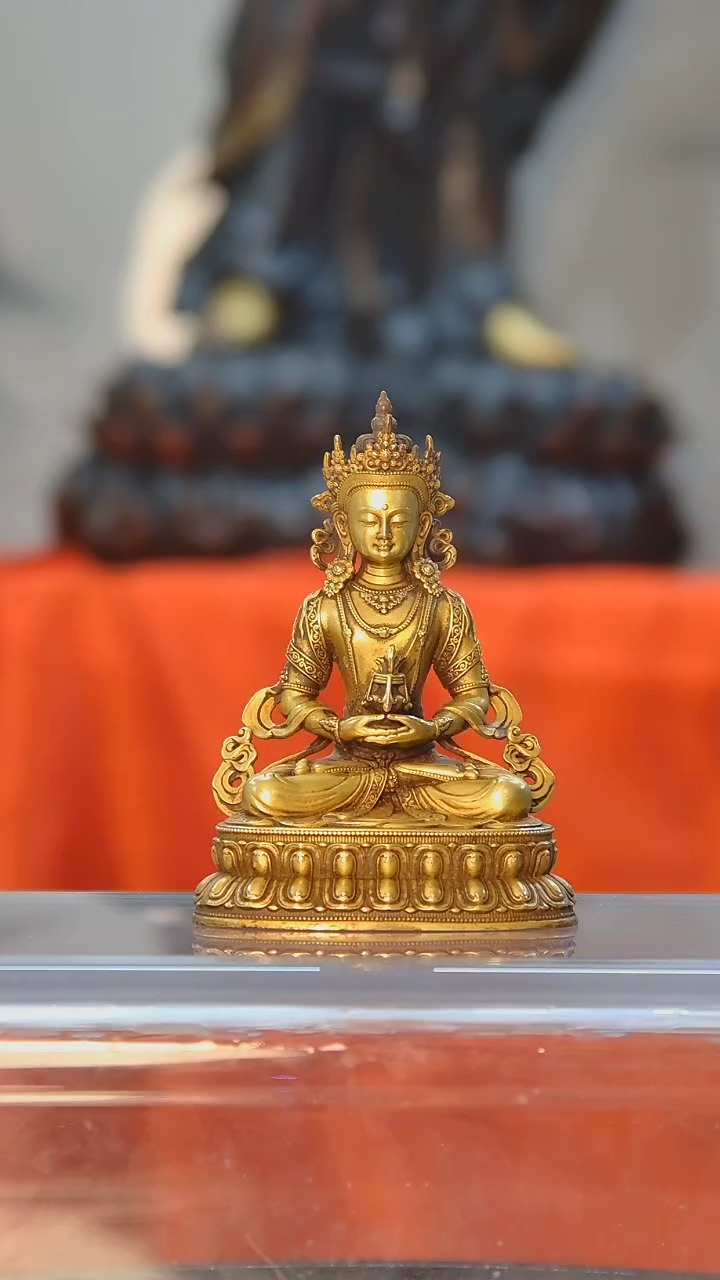 【闪购商品】佛佛佛佛佛佛佛佛佛佛佛佛佛佛佛