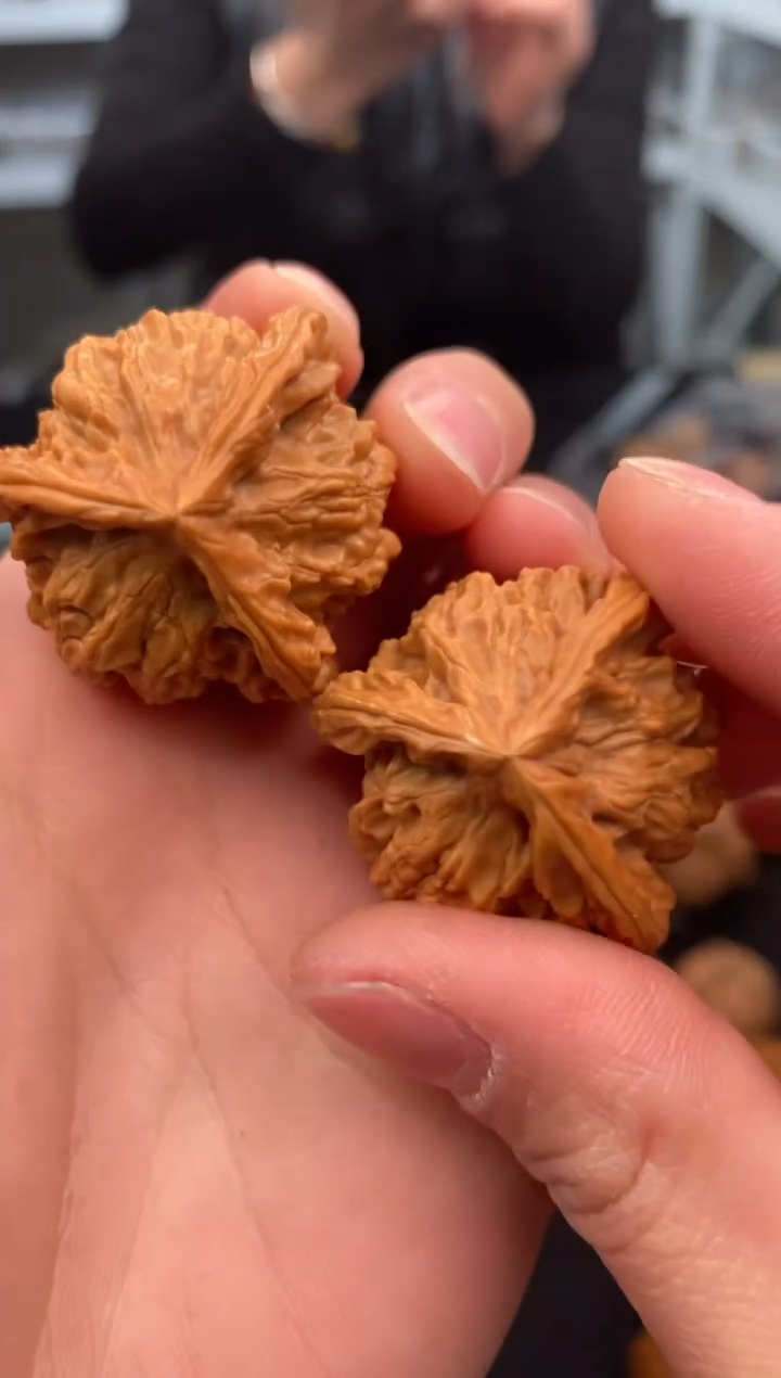 【闪购商品】文玩核桃把件盘山奔34-t987