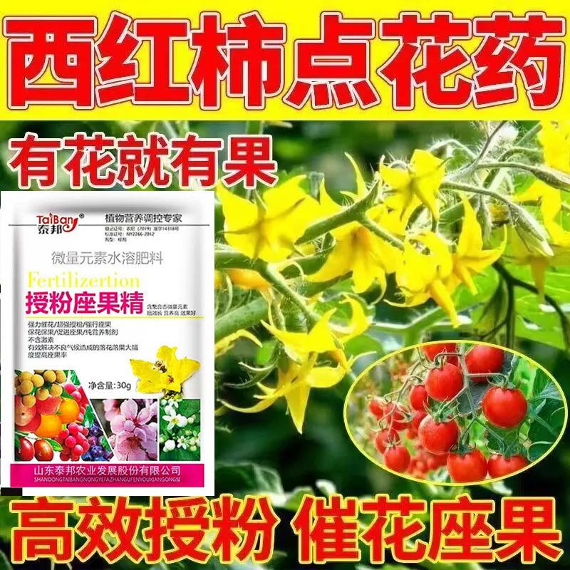 番茄催花座果灵番茄强效授粉免人工西红柿保花保果防落素水溶肥料