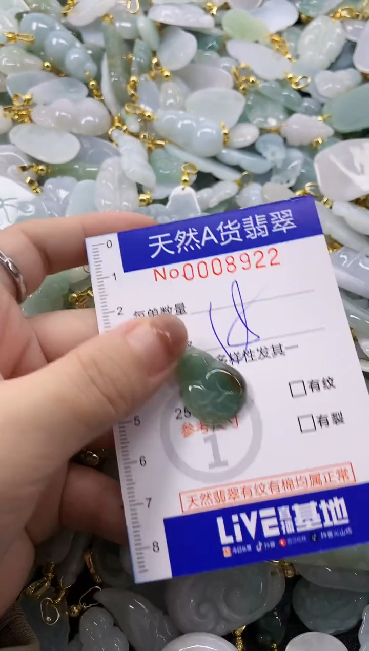 颈饰未镶嵌翡翠天然A货翡翠