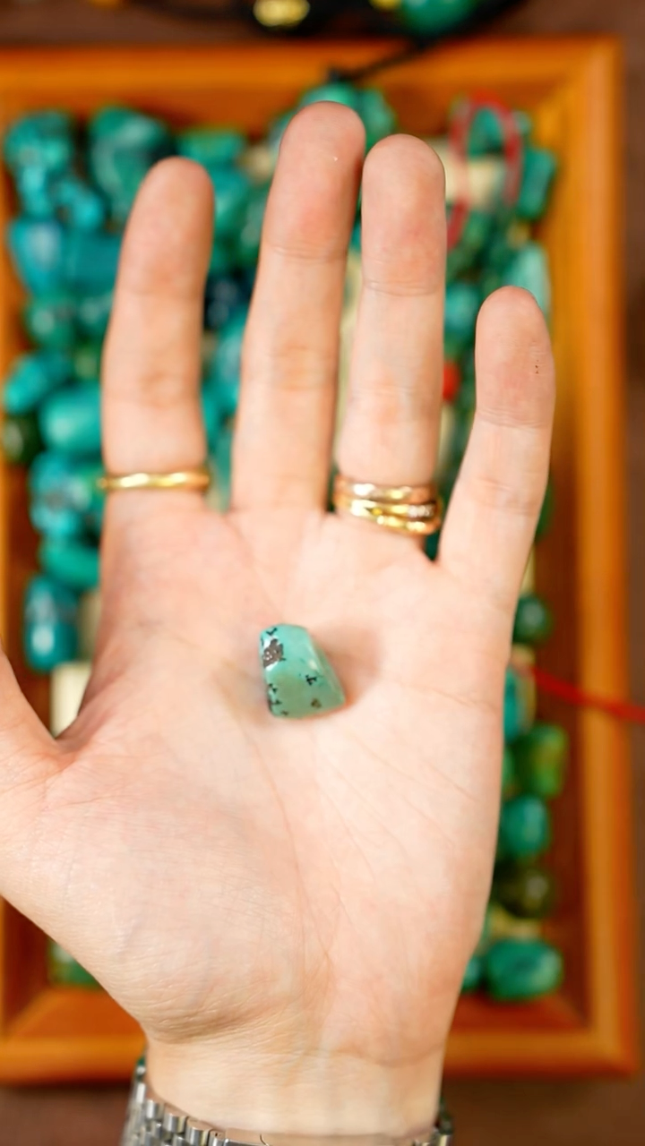 老随性松松多样性发货11