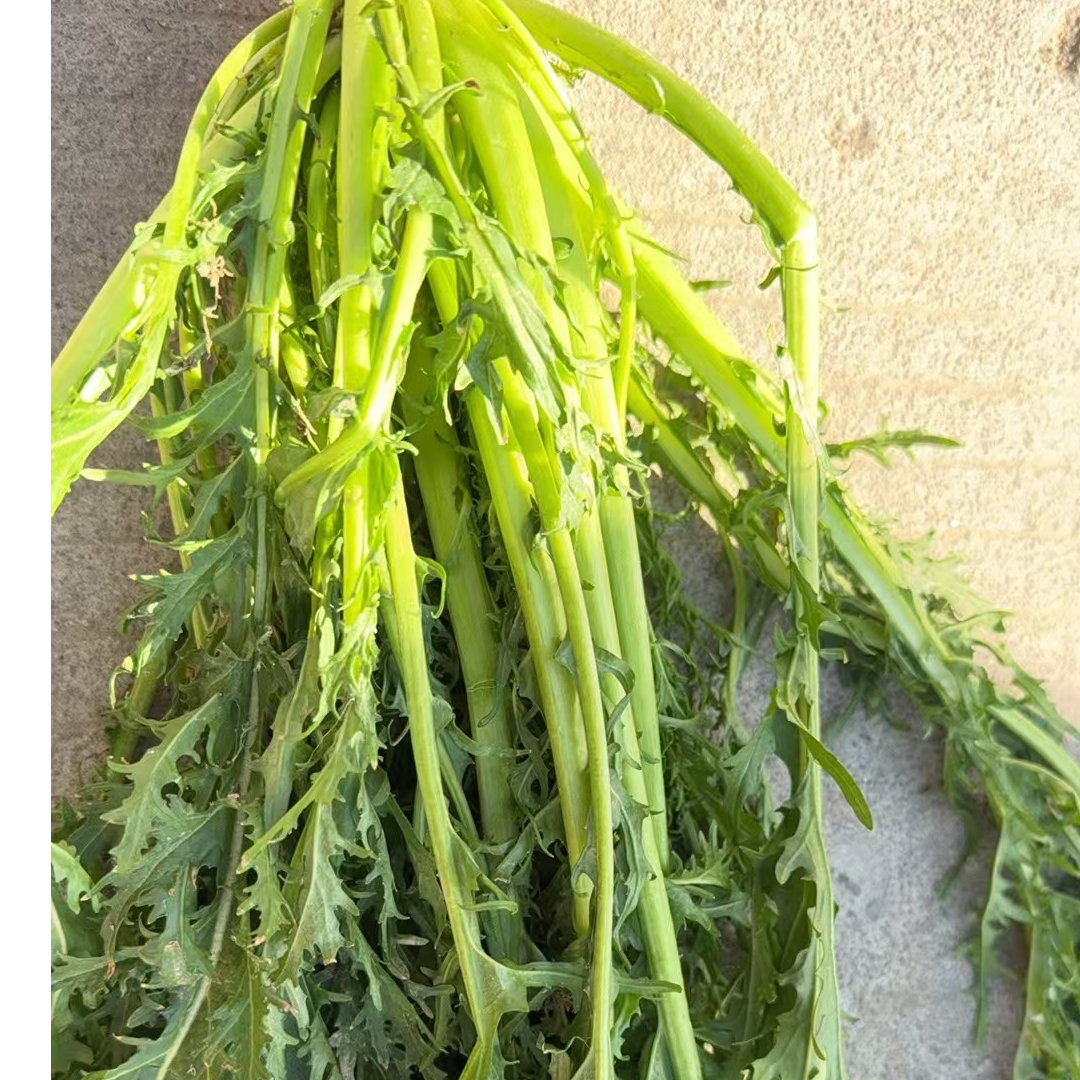 湖北农家菜 新鲜雪里红3斤包邮