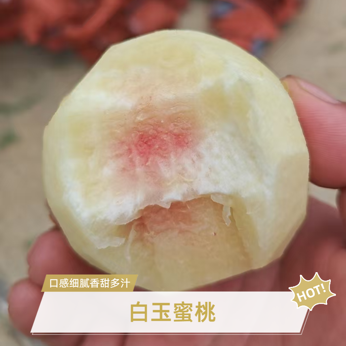 湖北白玉蜜桃白肉红心脆甜多汁口感细腻当季水果果园圆通生鲜直发