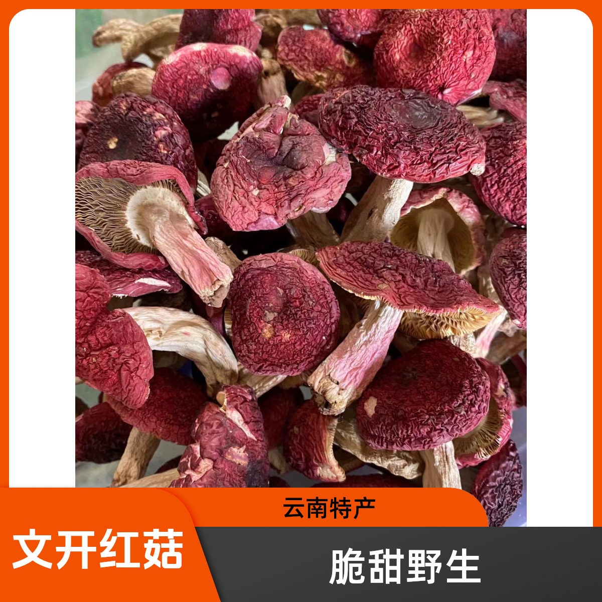 【文开精选】脆甜云南野生菇