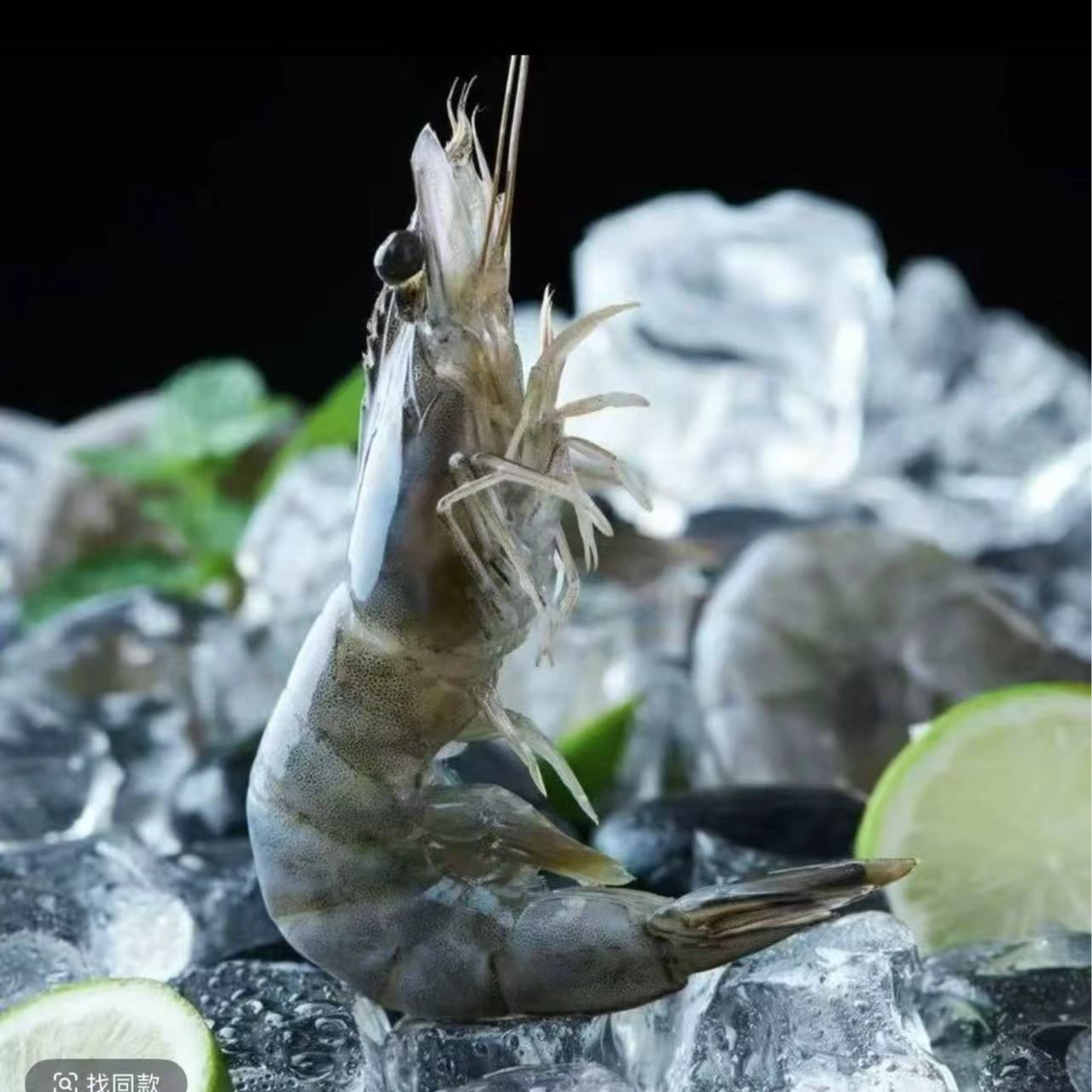 【海洋大虾】肉质鲜嫩大个头海水大虾单只16cm左右，一盒4斤40-50只海鲜-30夏