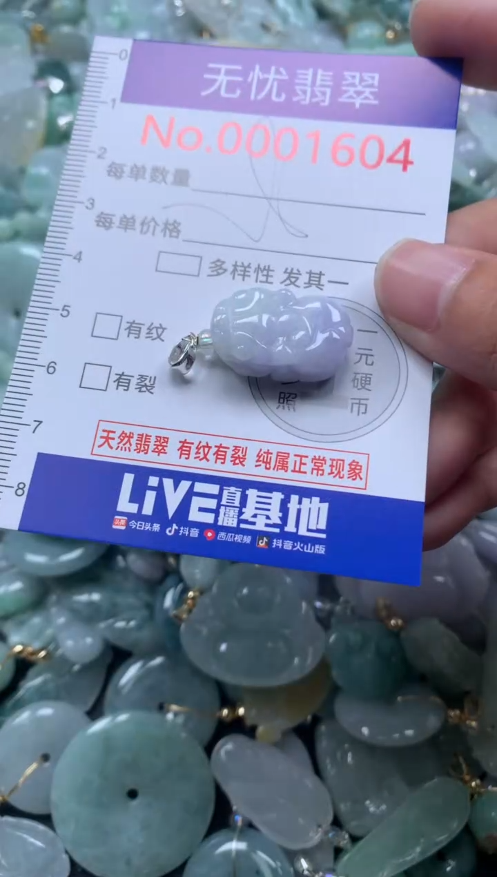 颈饰未镶嵌翡翠1604