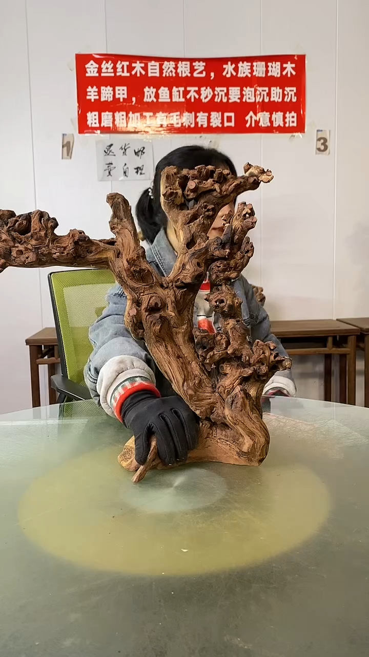 木典****典金丝红木 羊蹄甲