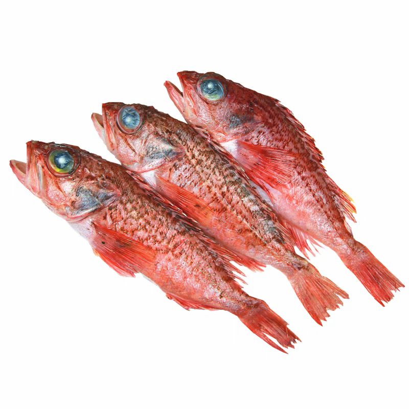悠然醉顺丰冷链鲜活速冻深海红石斑鱼虎头斑肉质鲜嫩适合家庭聚餐