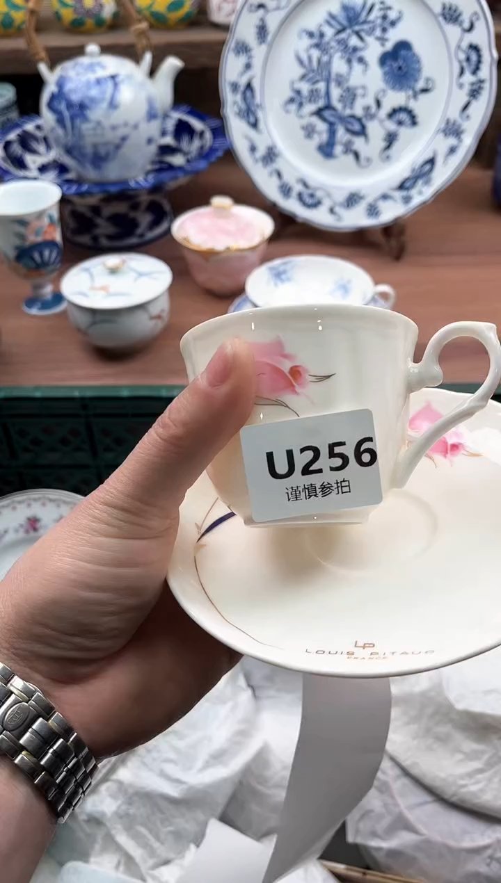 【闪购商品】瓷片256                