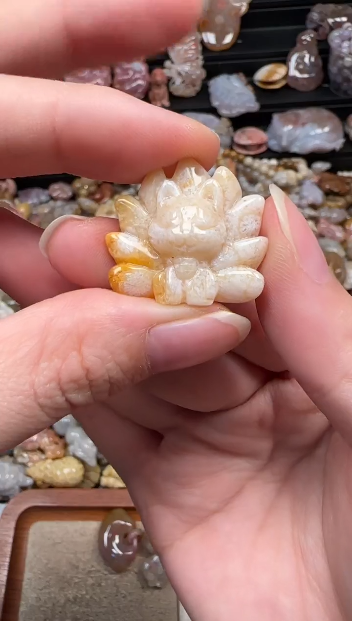 颈饰未镶嵌硅化珊瑚（珊瑚玉）743