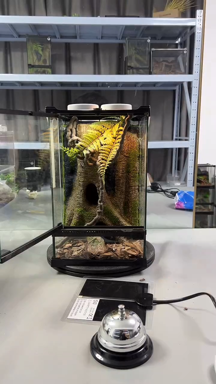 玻璃【长20宽20高30】爬宠造景缸睫角守宫树栖蜘蛛饲养箱爬宠爬虫缸