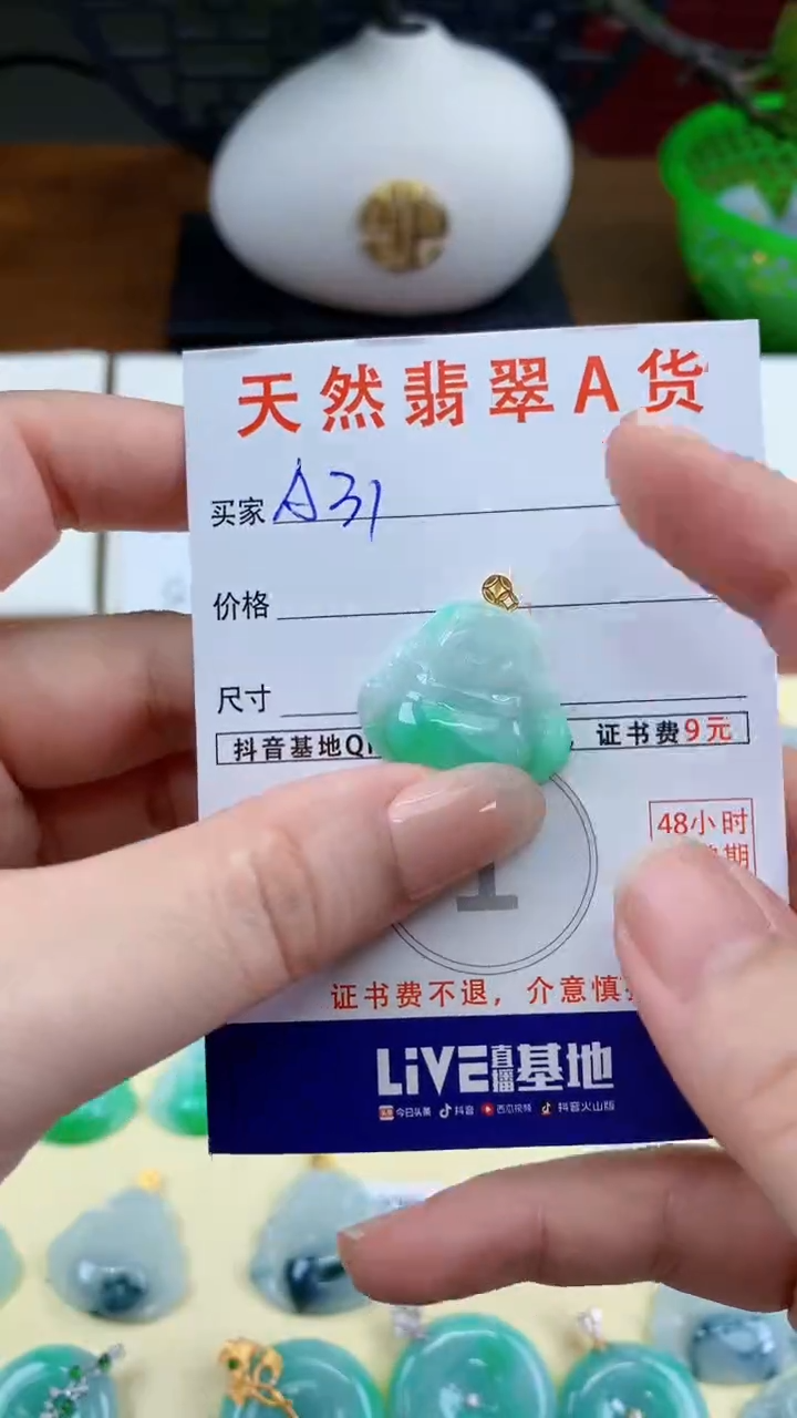 颈饰未镶嵌翡翠天然A货翡翠挂件
