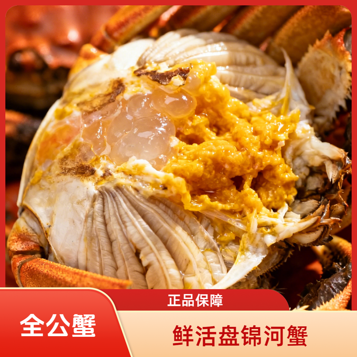 鲜活盘锦河蟹-全公蟹-规格1.2-1.5两-2/3斤装-京东包邮