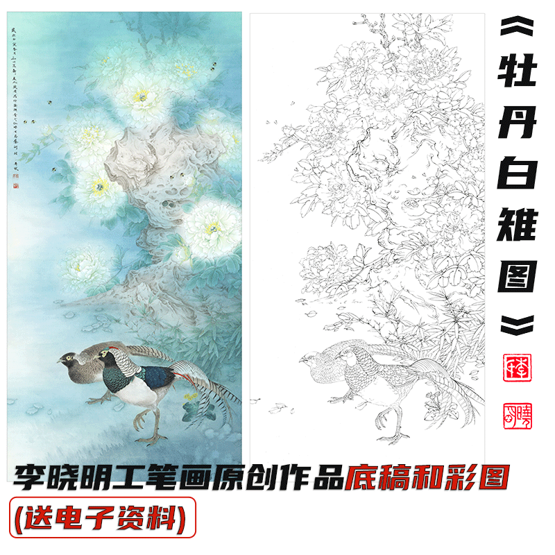 李晓明工笔画《牡丹白雉图》底稿和彩图（送电子步骤图和教程）