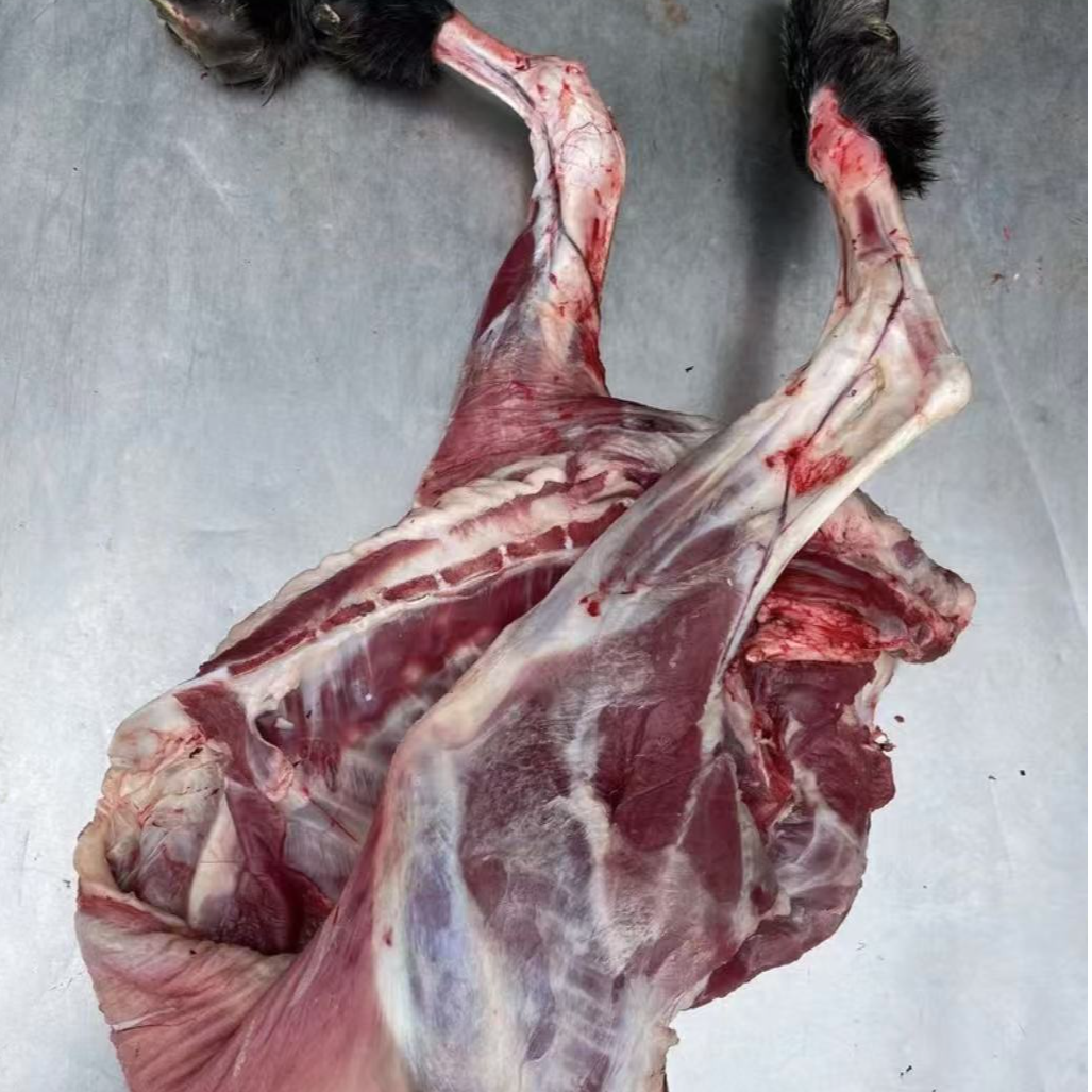 鲁西南本地散养青山羊分割6到20斤包邮