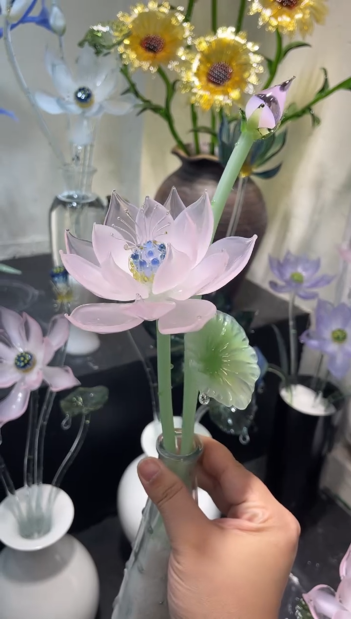 琉璃76荷花       