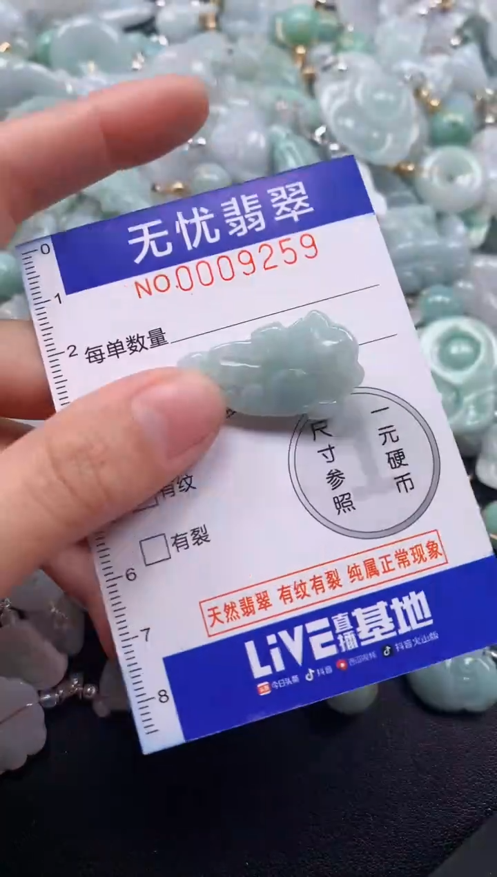 颈饰未镶嵌翡翠9259