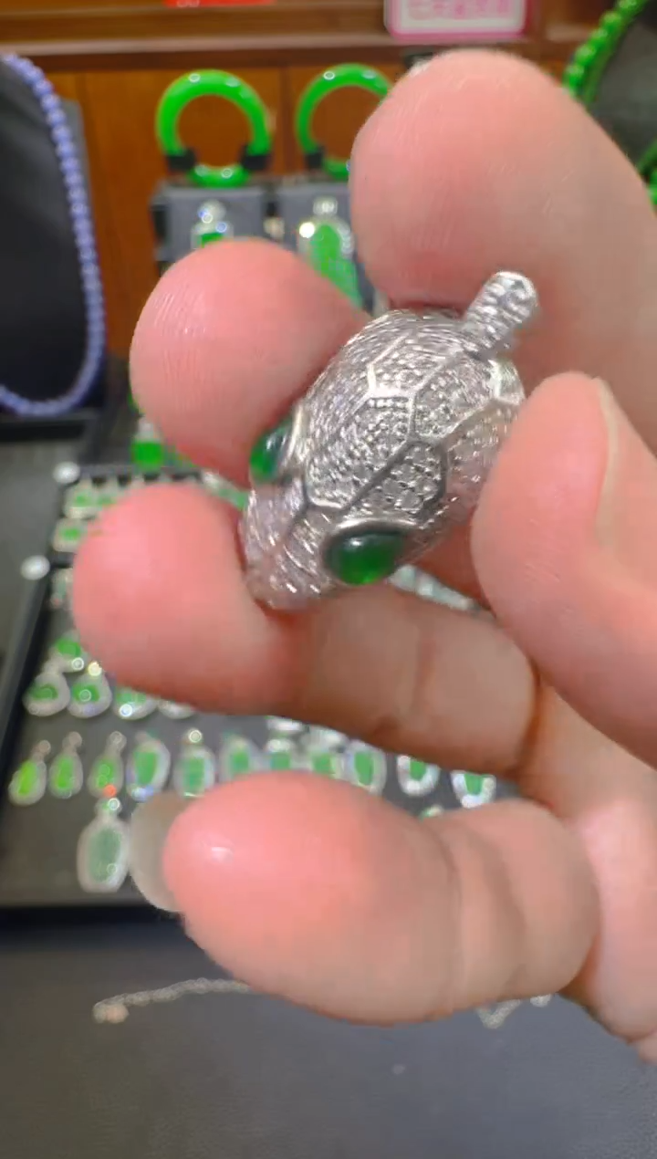 吊坠(赠链)未镶嵌翡翠天然A货翡翠