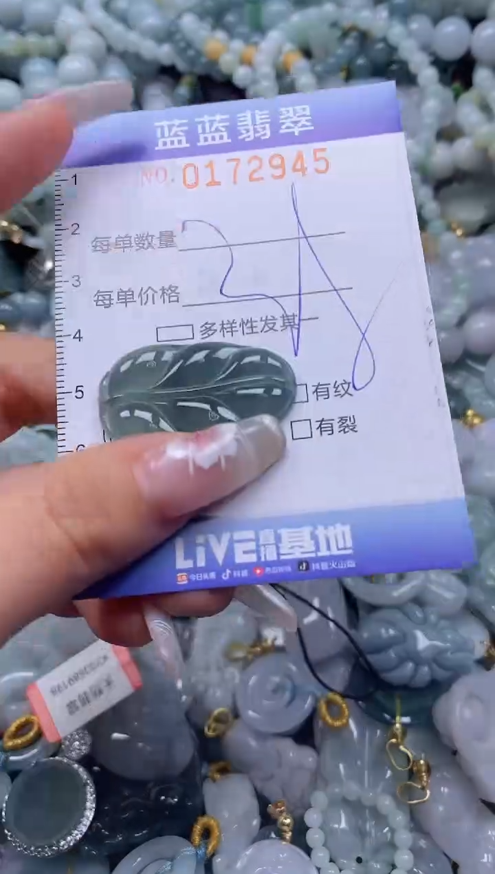 【闪购商品】翡翠颈饰未镶嵌闪购0172945