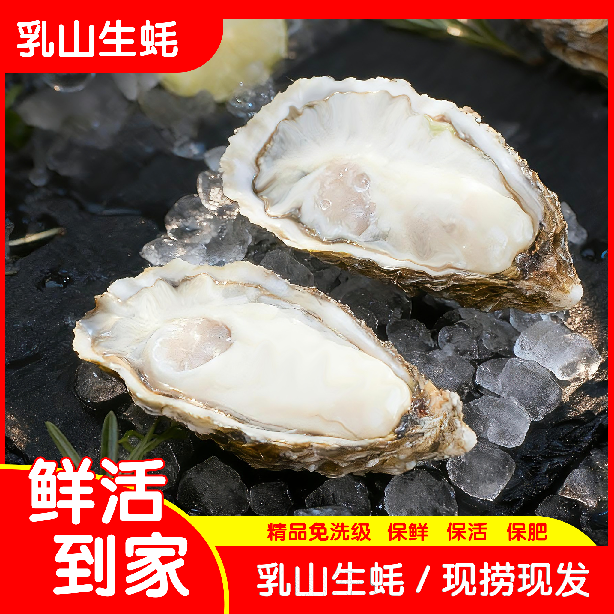 正宗乳山特产精品生蚝壳薄肉肥刺身免洗级新鲜牡蛎海鲜水产5斤
