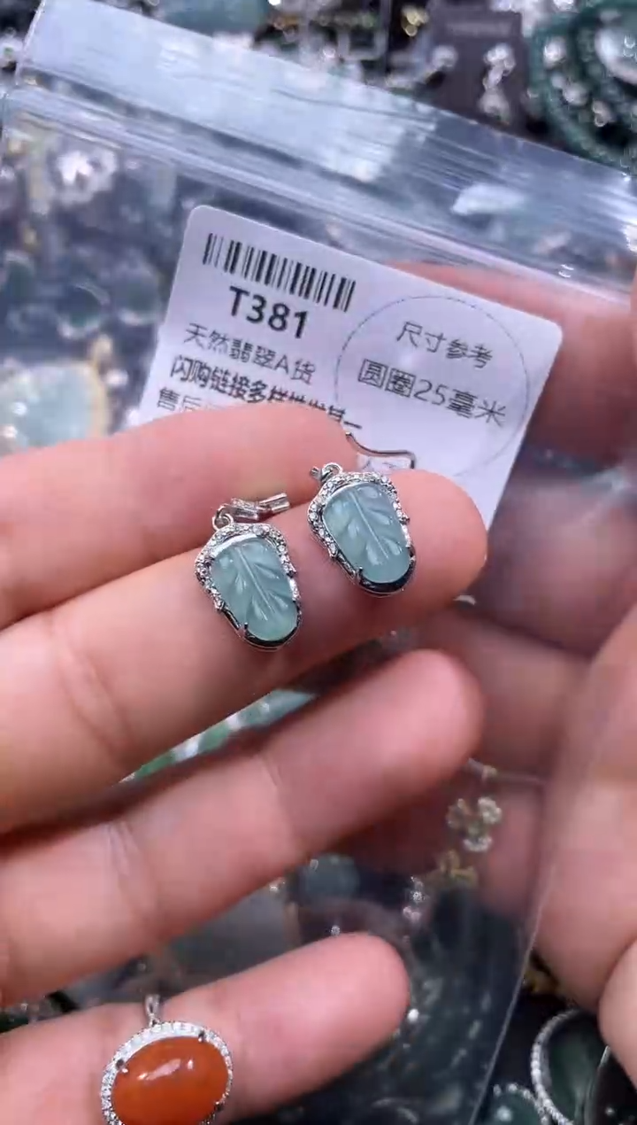 【闪购商品】翡翠颈饰未镶嵌T381耳钩